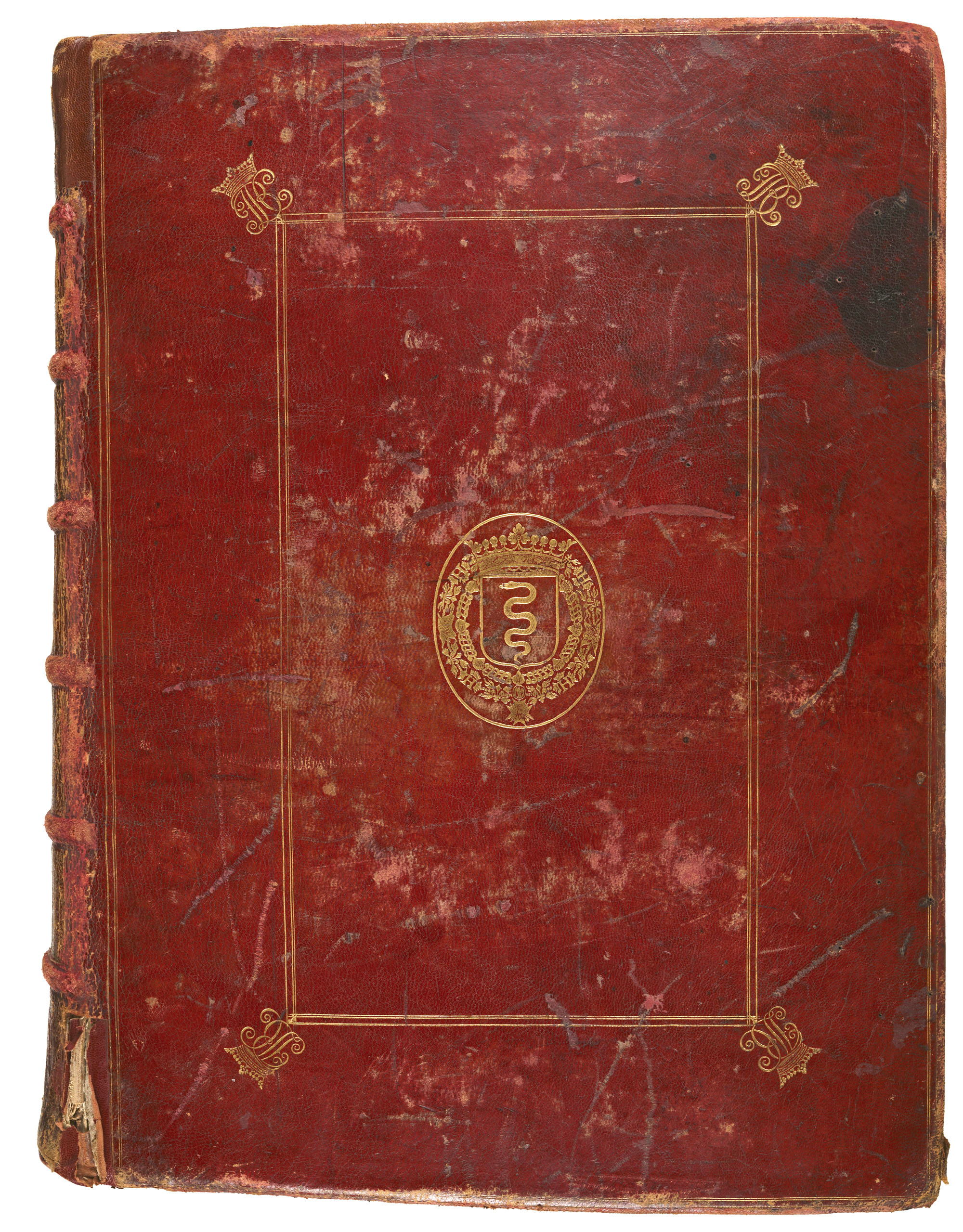 Bible de Vivien