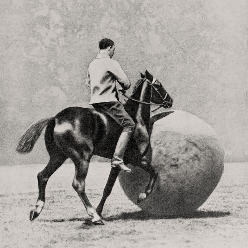 Le pushball à cheval