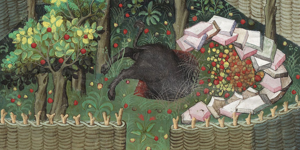 Chasse au sanglier