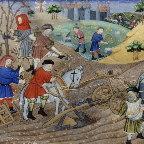 Les paysans dans la société médiévale occidentale