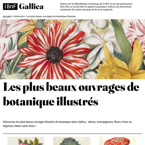Vignete Gallica ouvrages botanique illustrés