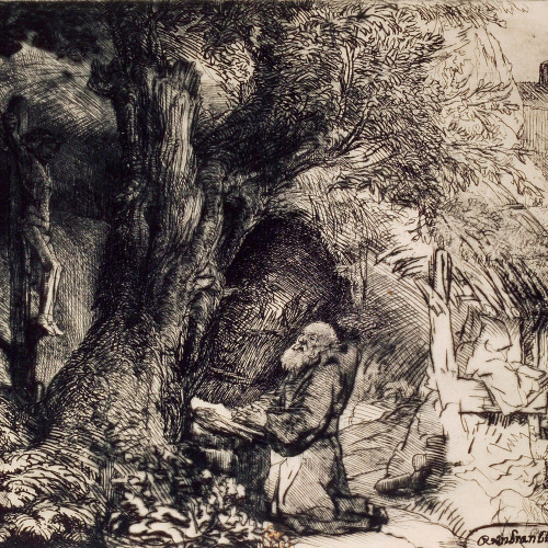 Saint François sous un arbre priant
2e état