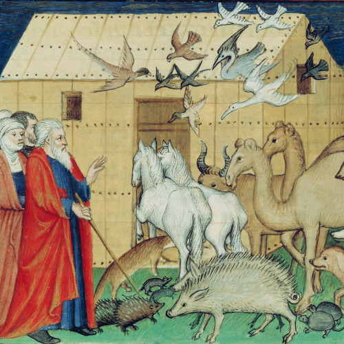 Guiard des Moulins, Bible historiale : Les animaux entrent dans l’arche de Noé