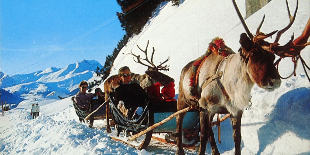Attelage de rennes à Avoriaz