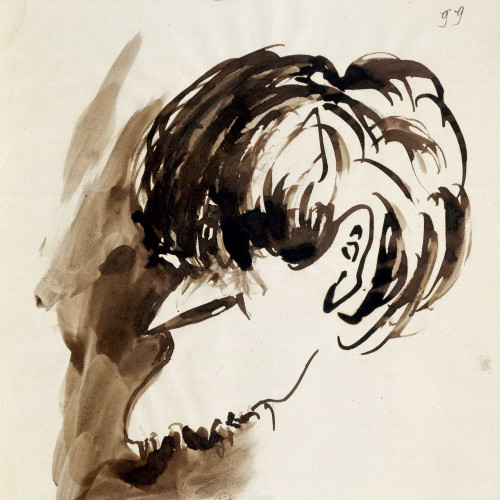 Tête de profil à droite