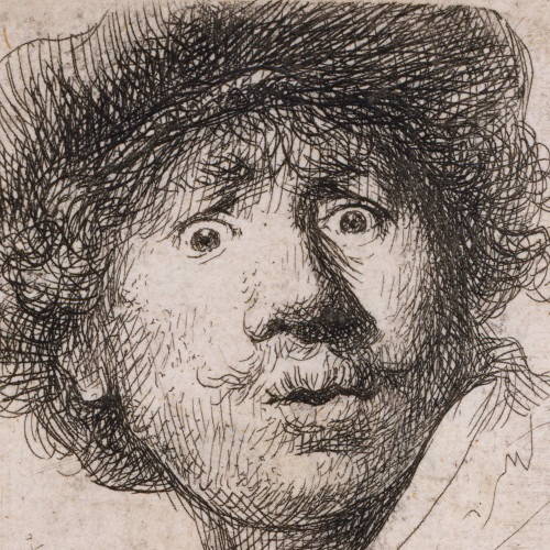 Rembrandt aux yeux hagards
État unique