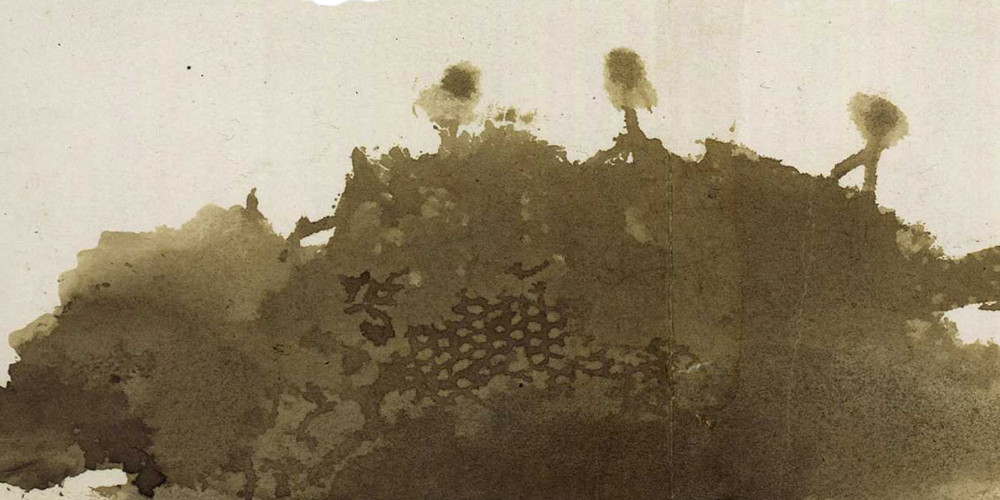 Empreinte de dentelle