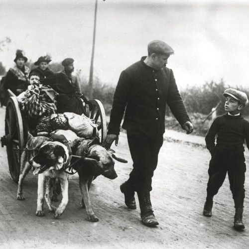 Réfugiés belges arrivant dans le nord de la France