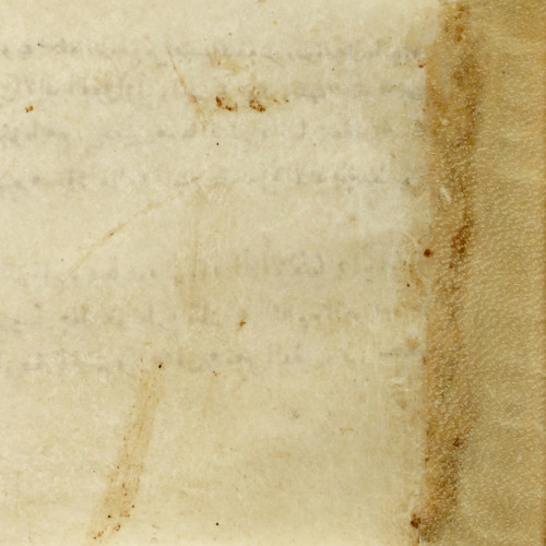 Exemple de parchemin utilisé pour les corans en écriture coufique, entre le 8e et 10e siècle