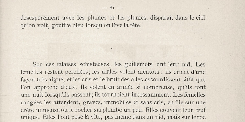 Voyage vers une mer glaciale : Éric