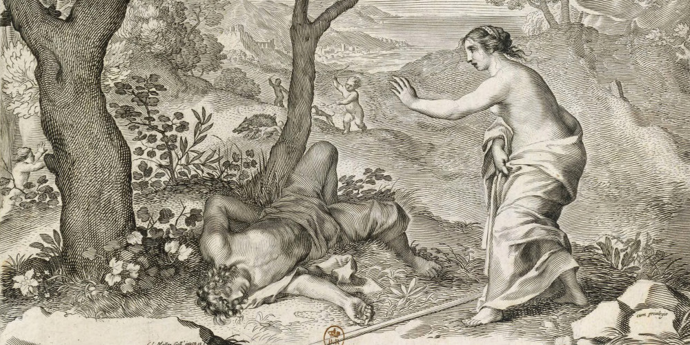 Vénus et Adonis mort