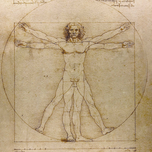 L’Homme de Vitruve