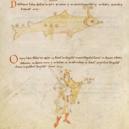 Orion dans un manuscrit médiéval