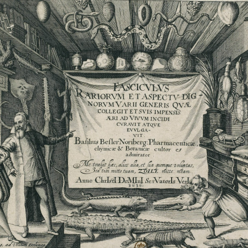 Cabinet de curiosités