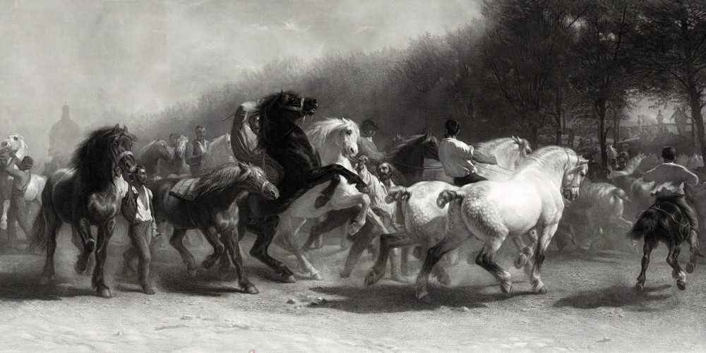 Le Marché aux chevaux de Paris