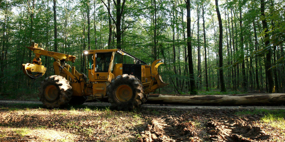 Débardage des grumes en forêt de Bercé