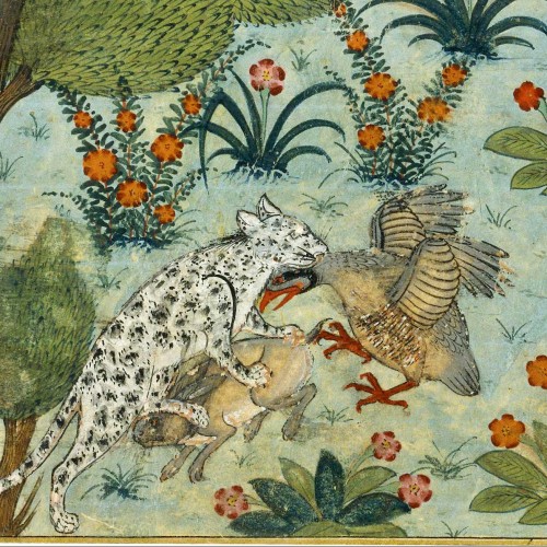 Le Lièvre et la Caille