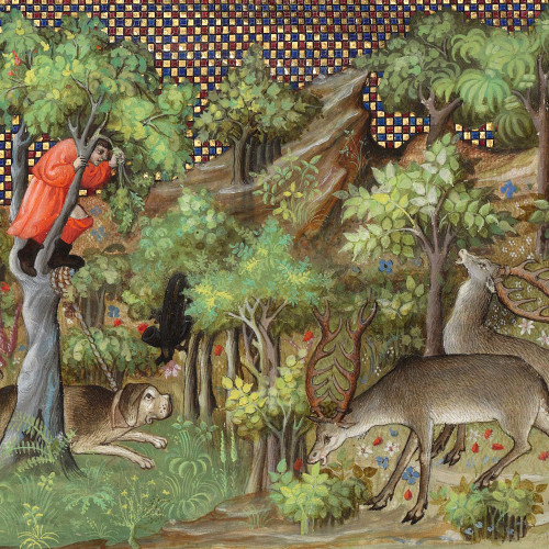 Flairée de la piste : le chasseur, monté dans un arbre, aperçoit deux cerfs au bord de la rivière
