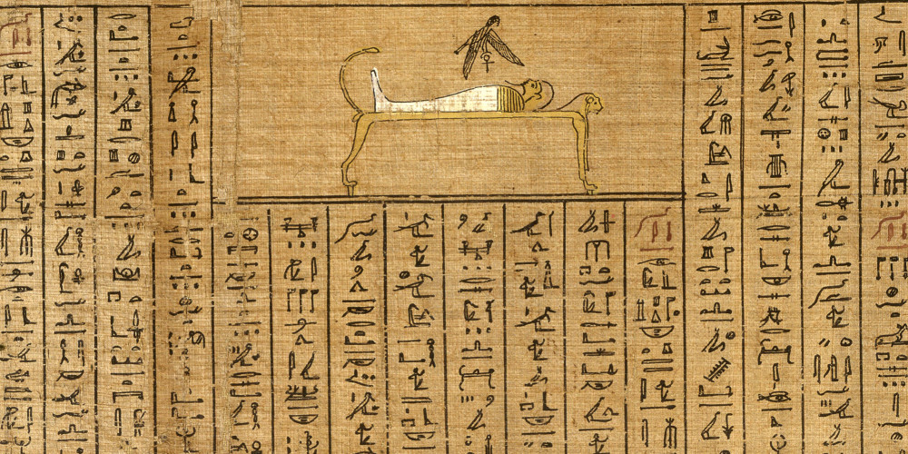 L'oiseau Bâ