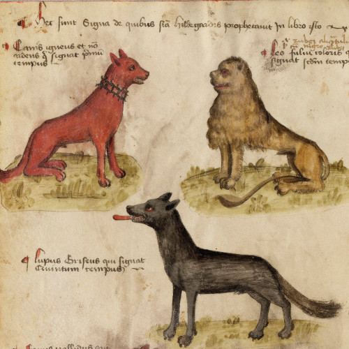Tels sont les signes que sainte Hildegarde prophétisa dans son livre