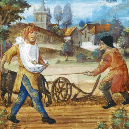 La modernisation de l’agriculture au 12e siècle
