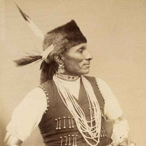 Portrait anthropologique de Montchou-Naji, Indien d'Amérique, dans les albums du prince Roland Bonaparte