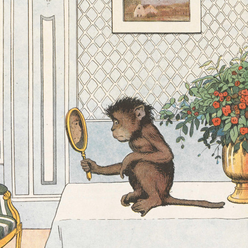 Le singe