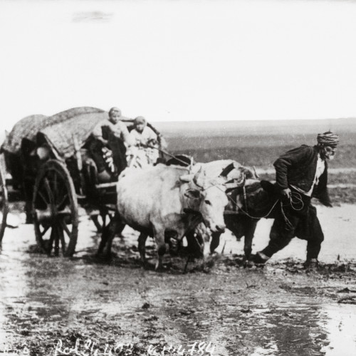 Balkans, exil de civils sur les routes, chariots tirés par des bœufs avec dessus des familles et leurs affaires