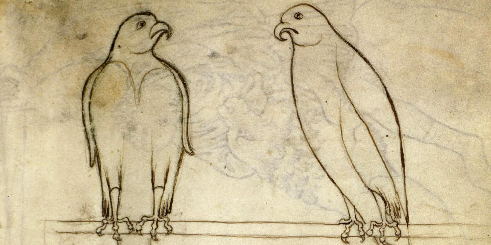 
Étude naturaliste et personnages

