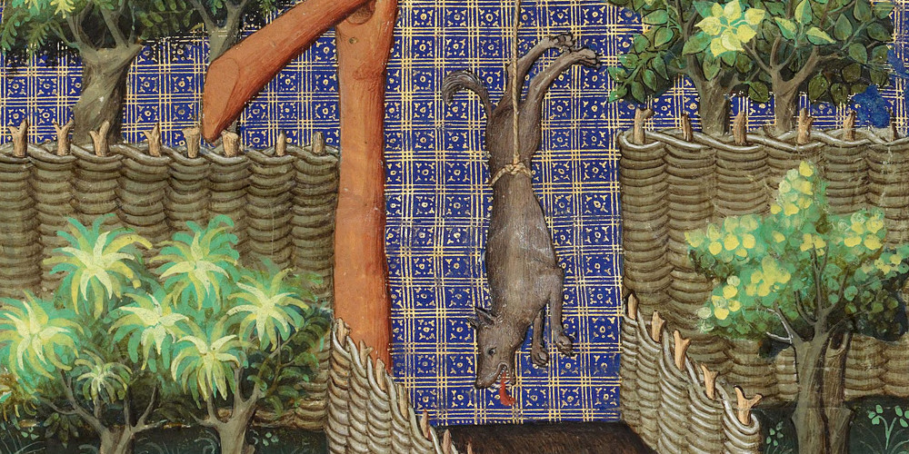 Chasse au loup