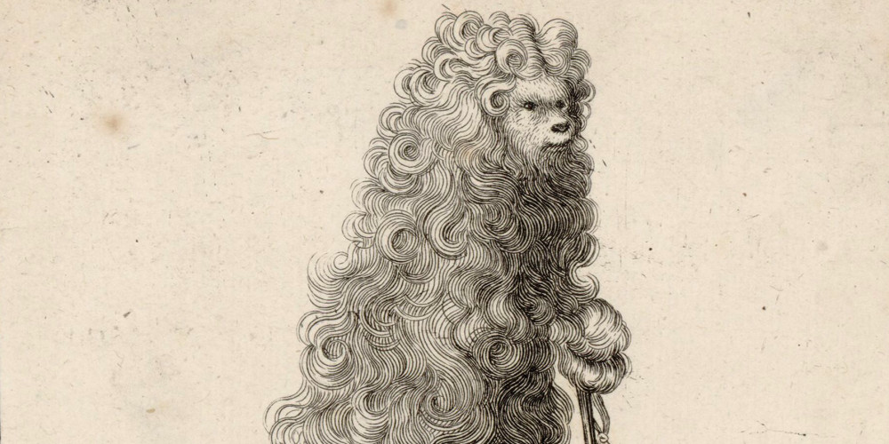 Le Bichon poudré