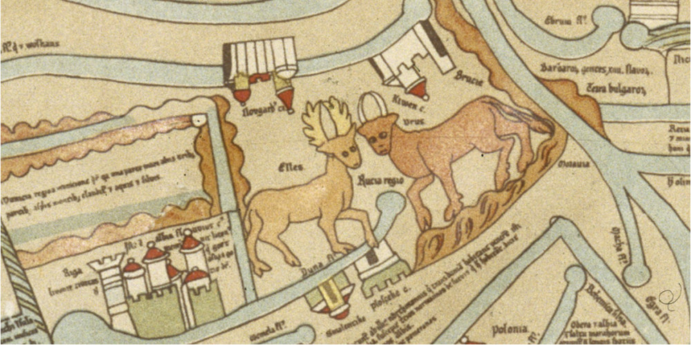 Le daim et le cerf 