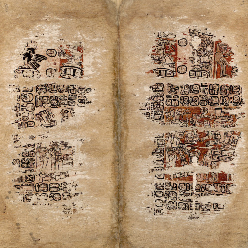 Le Codex maya "de Paris"