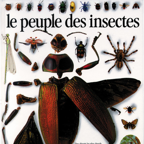 Le Peuple des insectes