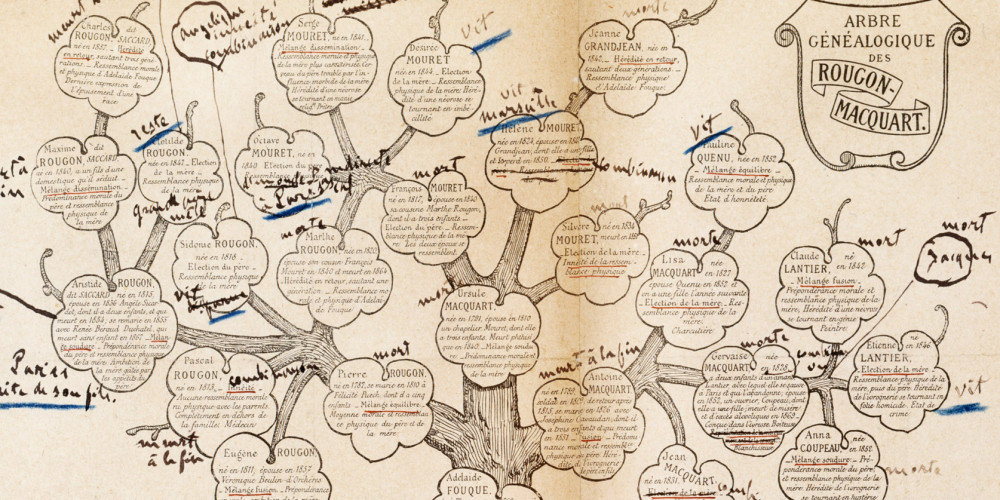 Arbre généalogique des Rougon-Macquart annoté