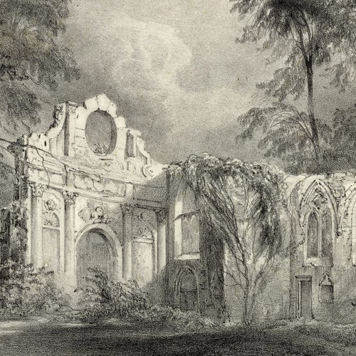 Ruines des Célestins de St Pierre