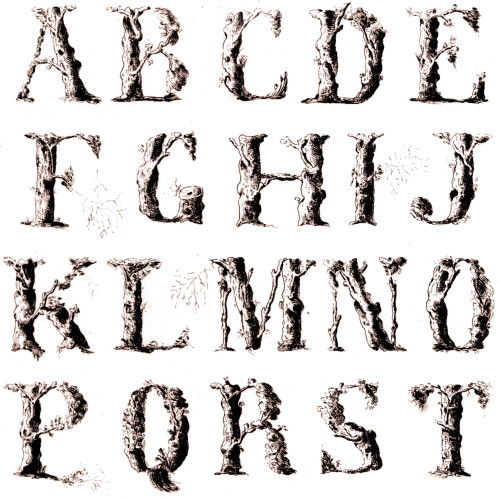 Alphabet forestier