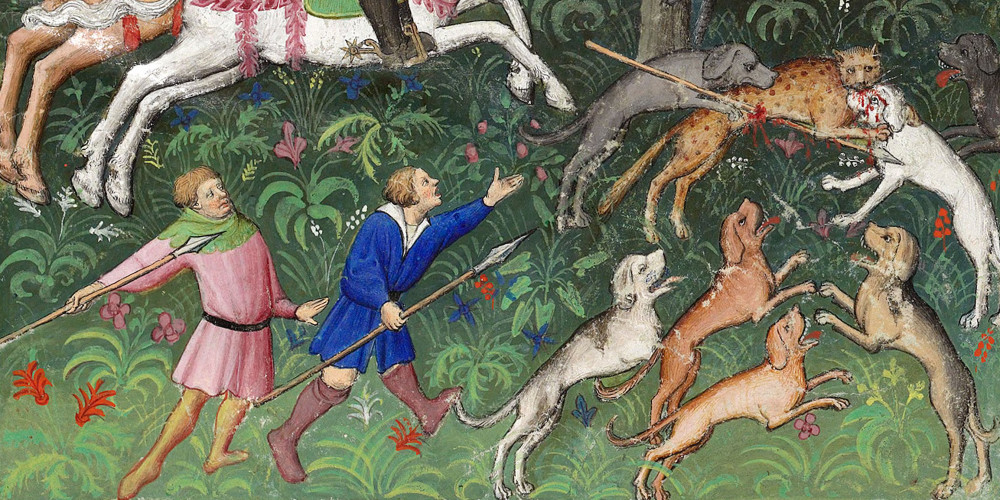 Chasse au chat sauvage