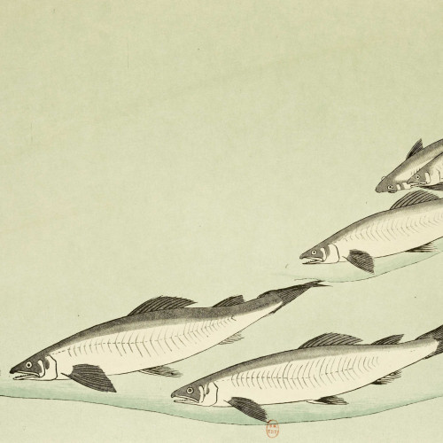 Poissons, par Hiroshigé