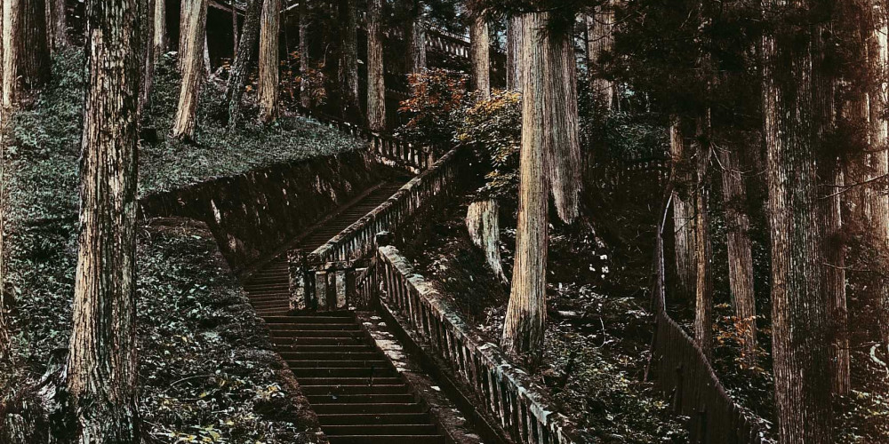 Escalier de pierre (ishidan) du sanctuaire de Nikko