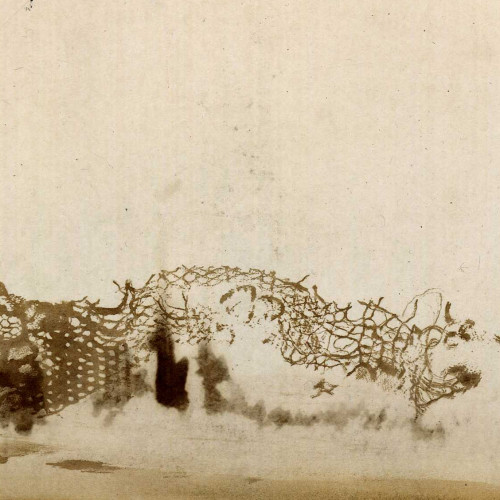 Empreintes de dentelle