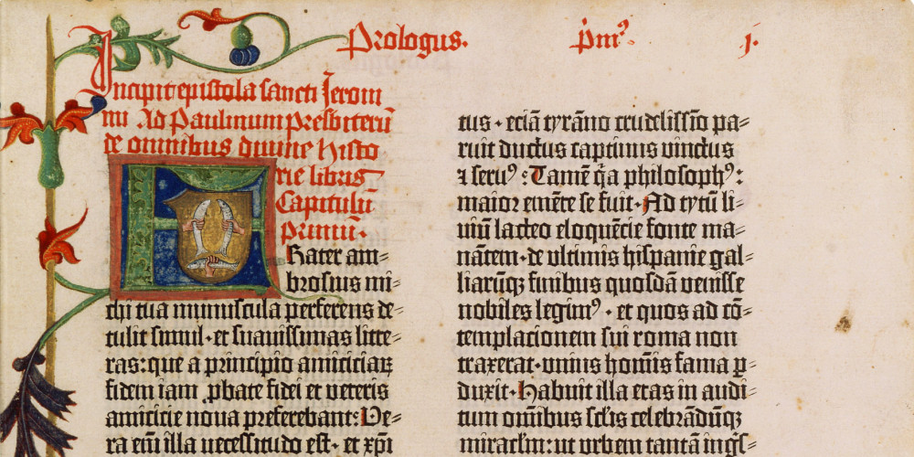 Bible de Bamberg : Biblia latina