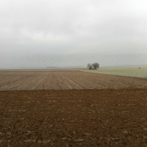 L’assommoir du mont Cornillet
