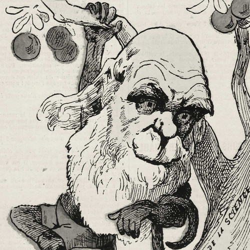 L’Origine des espèces de Charles Darwin