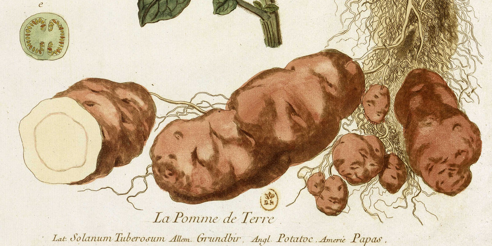 Antoine-Augustin Parmentier (1737-1813)
