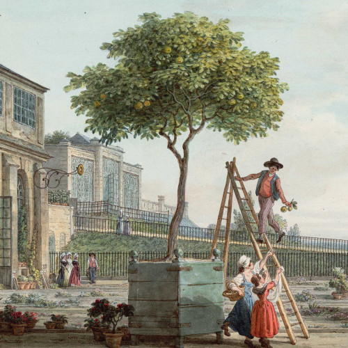 Jardin du Roi - Orangerie