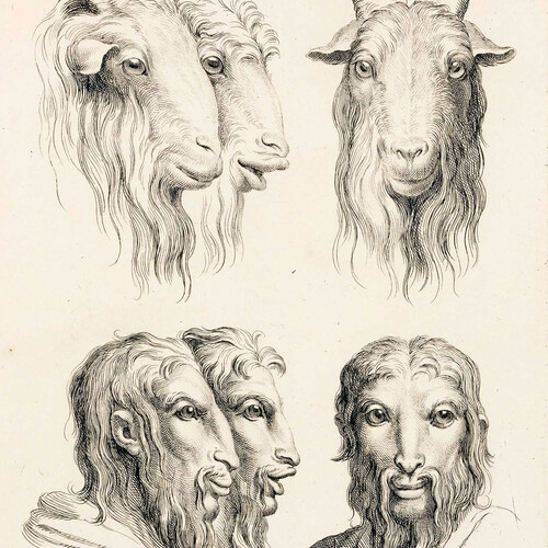 Têtes et yeux d’hommes dans leurs rapports avec des têtes et des yeux d’animaux