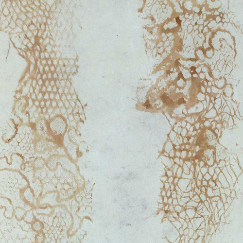 Empreintes de dentelle