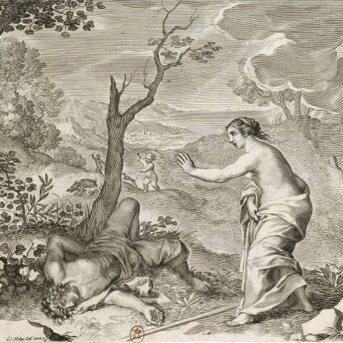 Vénus et Adonis mort