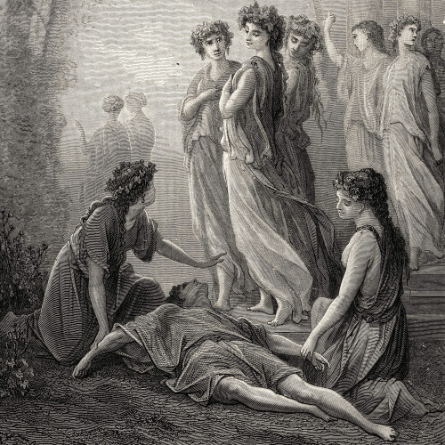 Daphnis et Alcimadure